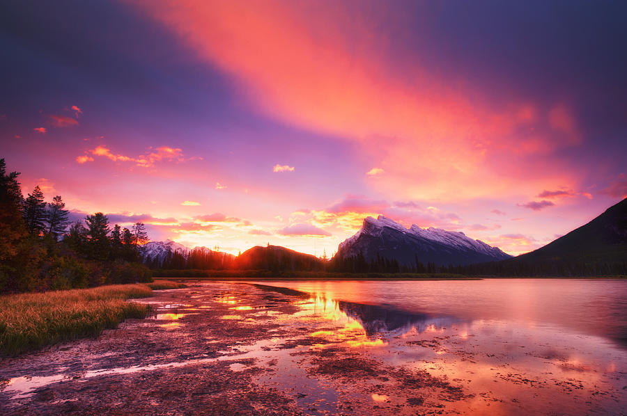 Banff National Park Photograph - Vermilion Lakes by U Schade