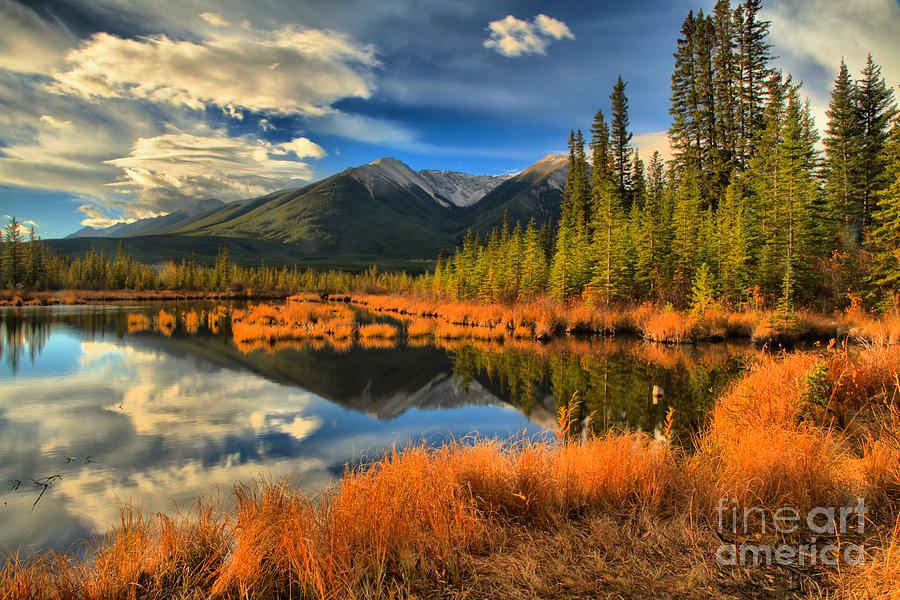 Vermilion Lakes Vibrance Photograph by Adam Jewell