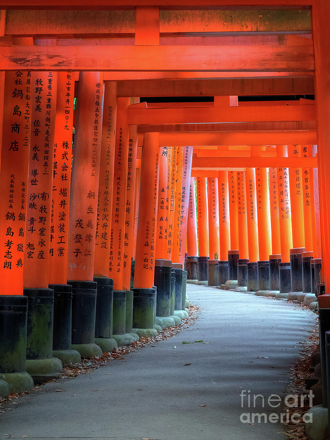 Vermilion Tori Gates Path At Fushimi Inari Taisha Shrine Kyoto Japan Photograph By Mark Carnaby