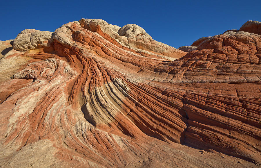 Vermillion Cliffs Sandstone Photograph by Yva Momatiuk John Eastcott