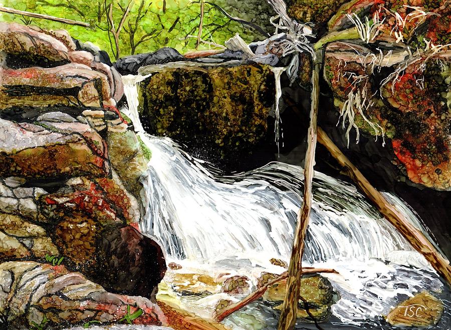 Vermillion Falls Painting by Tammy Crawford