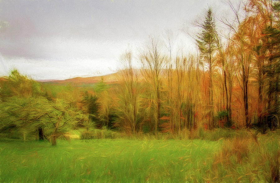 Vermont Autumn Field Digital Art by Terry Davis