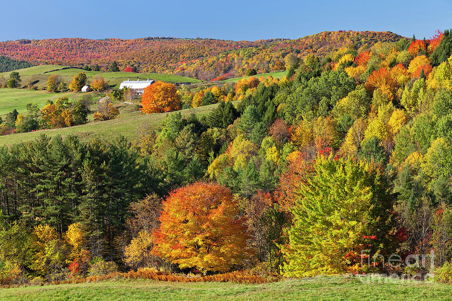 Vermont Autumn Landscape Photograph by Alan L Graham