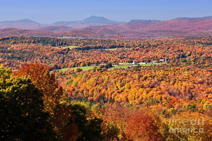 Vermont Autumn Vista Photograph by Alan L Graham