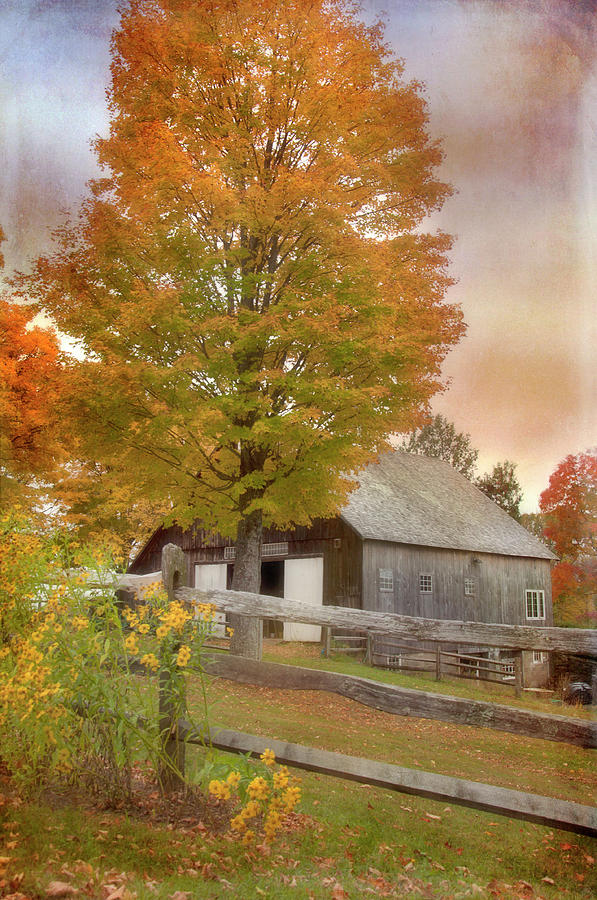 Vermont Autumn - Woodstock VT Photograph by Joann Vitali