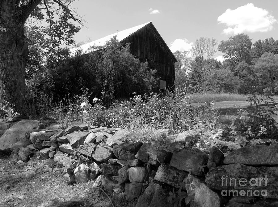 Vermont Barn and Stone Wall Photograph by Susan Lafleur