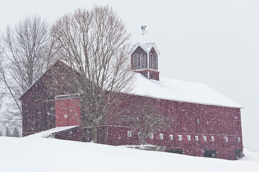 Vermont Barn In Snowstorm Photograph by Alan L Graham