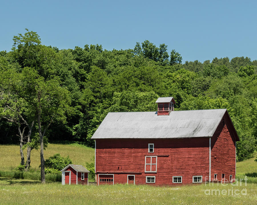 Vermont Barn Photograph by Phil Spitze