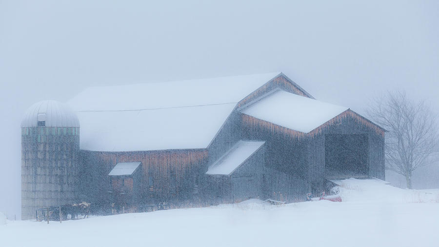 Vermont Blizzard Photograph by Alan L Graham