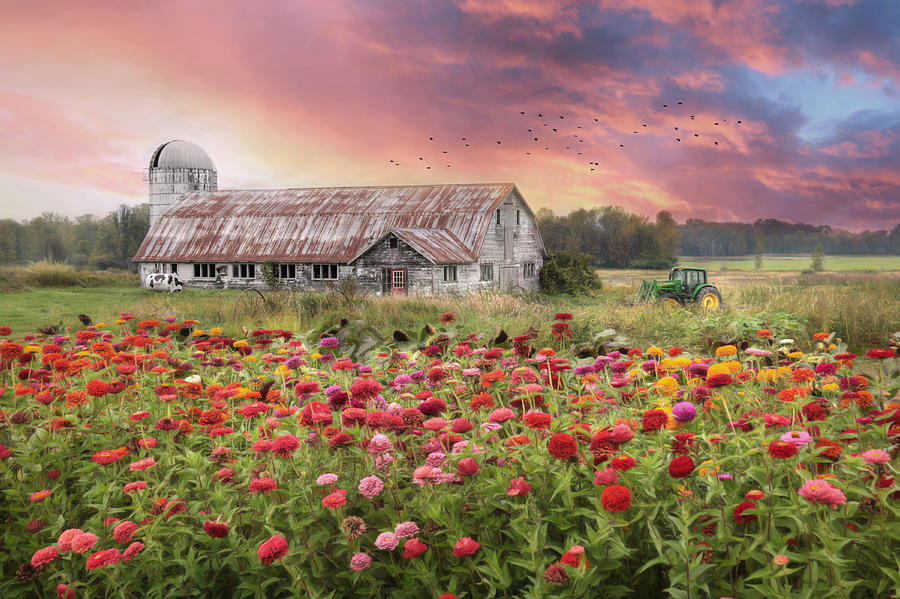 Barn Photograph - Vermont Blossoms by Lori Deiter