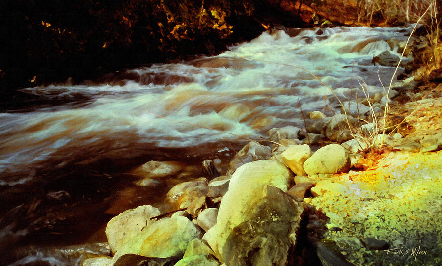 Vermont Brook Photograph by Frank Wilson