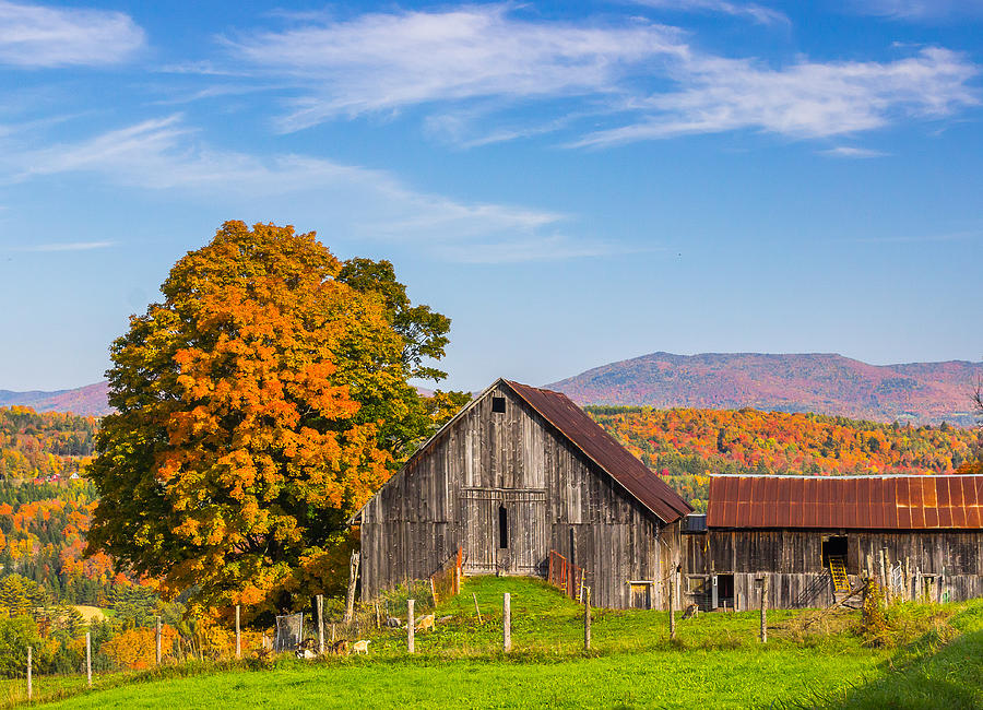 Vermont Classic Photograph by Tim Kirchoff
