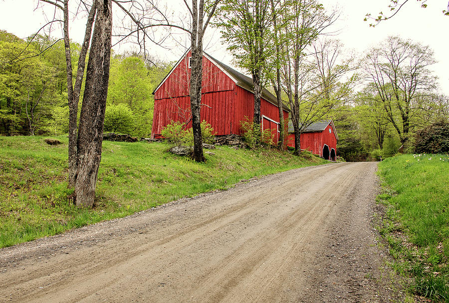 Vermont Country Road Photograph by Gordon Ripley