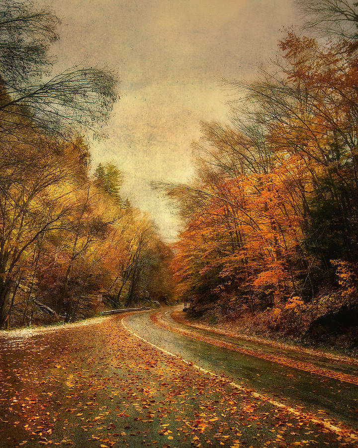 Vermont Country Road in Autumn Photograph by Joann Vitali