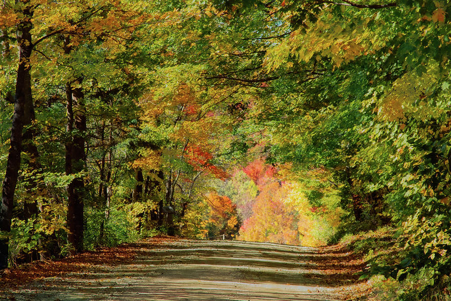 Vermont Country Road Under Fall Colors Photograph