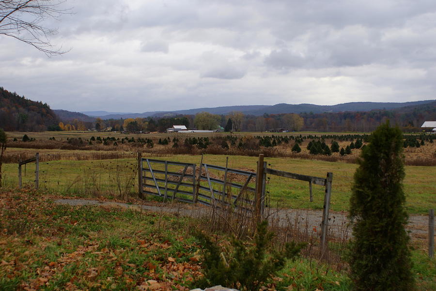 Vermont Countryside Photograph by Lois Lepisto