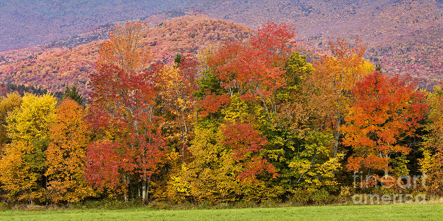 Vermont Fall Foliage Panorama Photograph by Alan L Graham