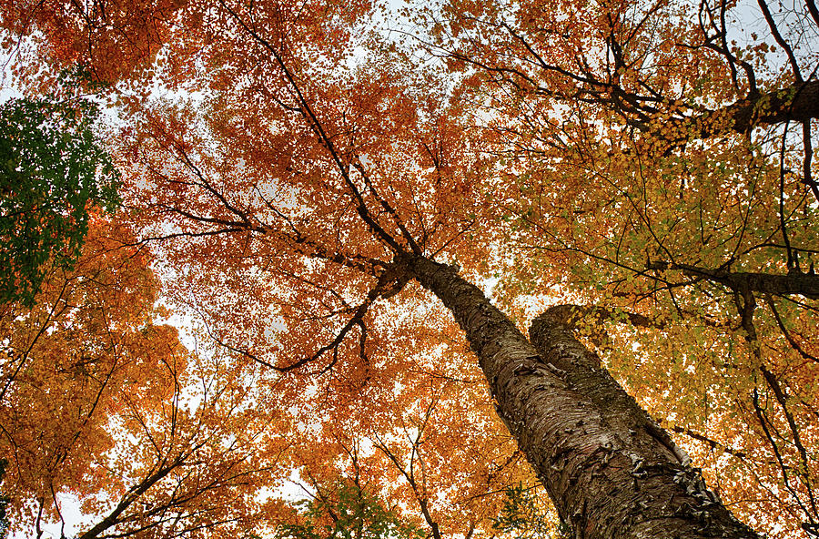 Landscape Photograph - Vermont fall foliage views by Jeff Folger