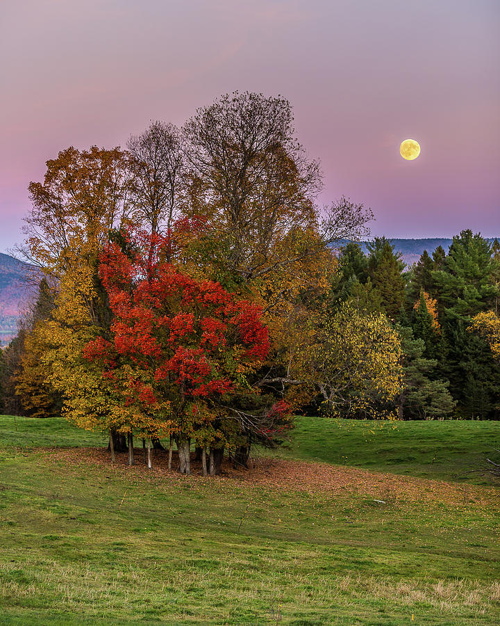Vermont Fall Moon and Belt of Venus Portrait Photograph by Tim Kirchoff