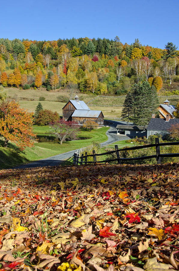 Sleepy Hollow Photograph - Vermont Farm In Autumn by Donna Doherty