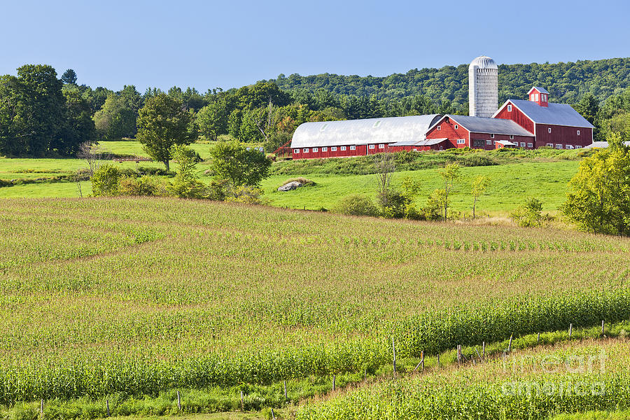 Vermont Farm Landscape Photograph by Alan L Graham