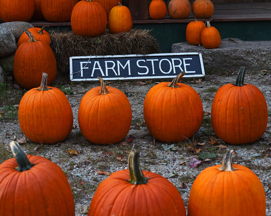 Vermont Farm Store Sign Pumpkins Photograph by Toby McGuire