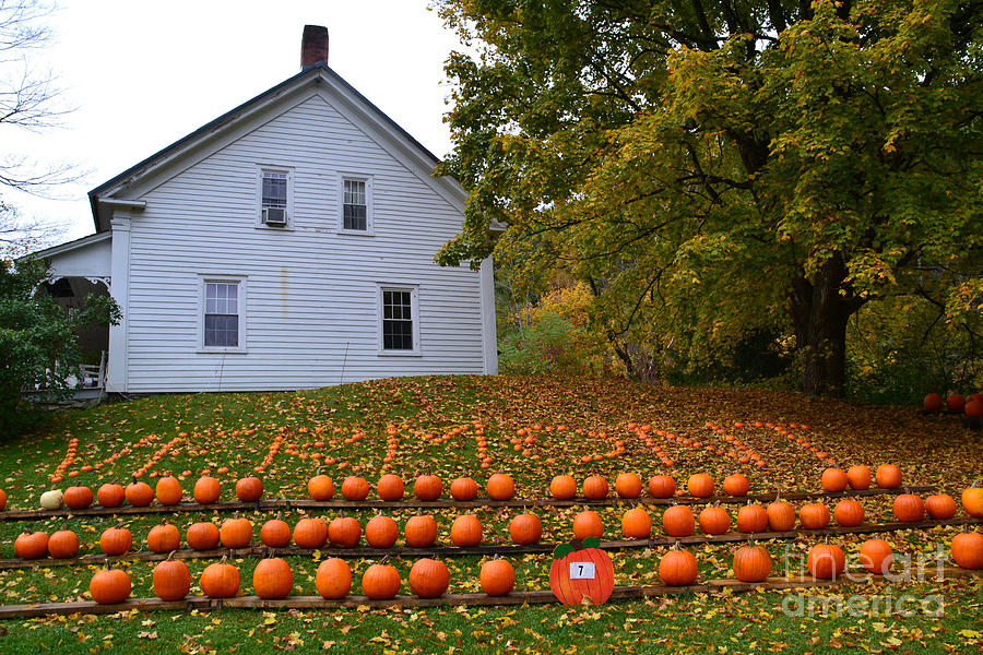 Vermont Farm with Pumpkins Photograph by Rossano Ossi - Fine Art America