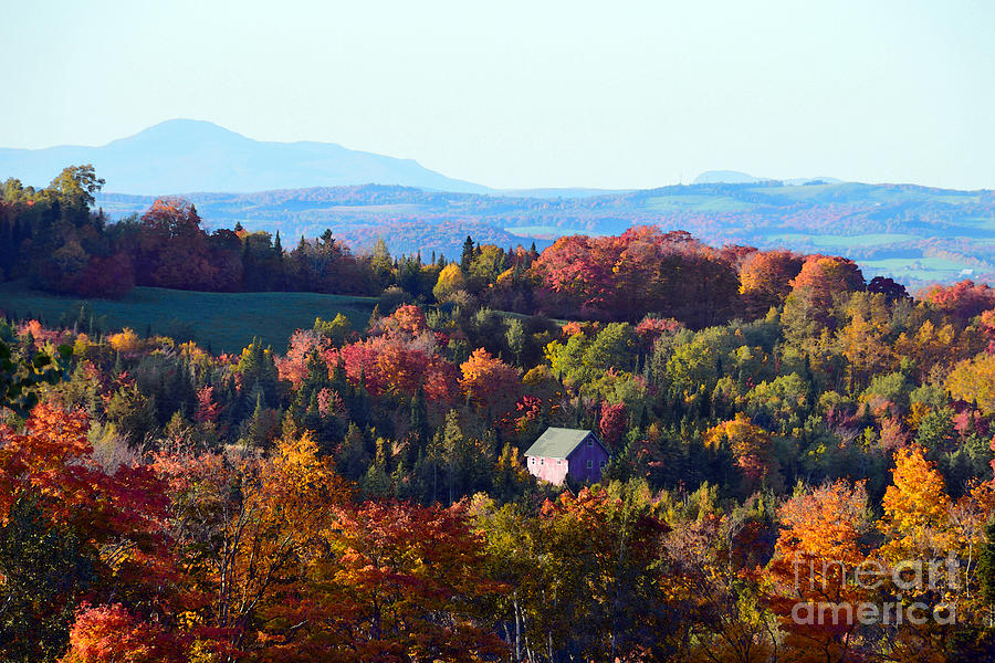 Vermont Farmhouse in Autumn Forest Photograph by Catherine Sherman