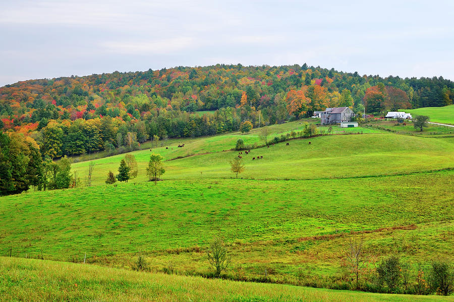 Vermont Farmland Photograph by Luke Moore