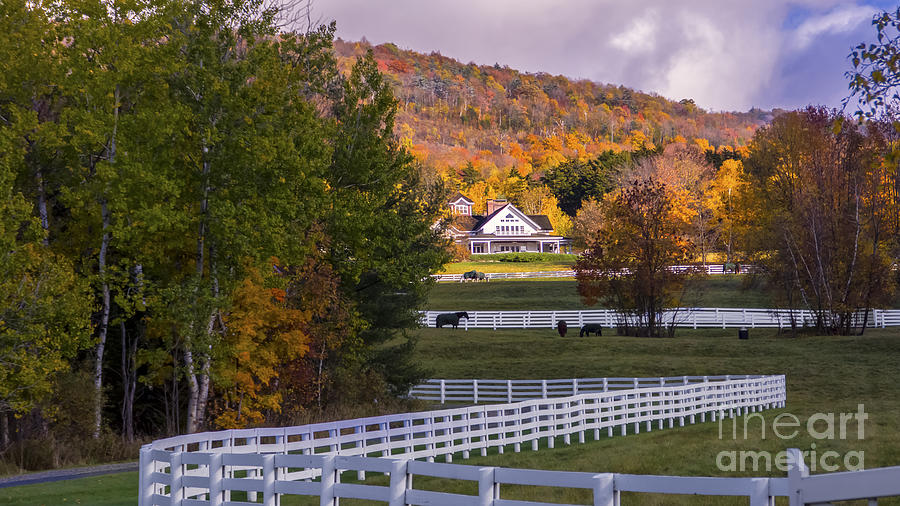 Vermont Horse Farm in the Autumn. Mad River Valley, Vermont. Photograph by New England Photography