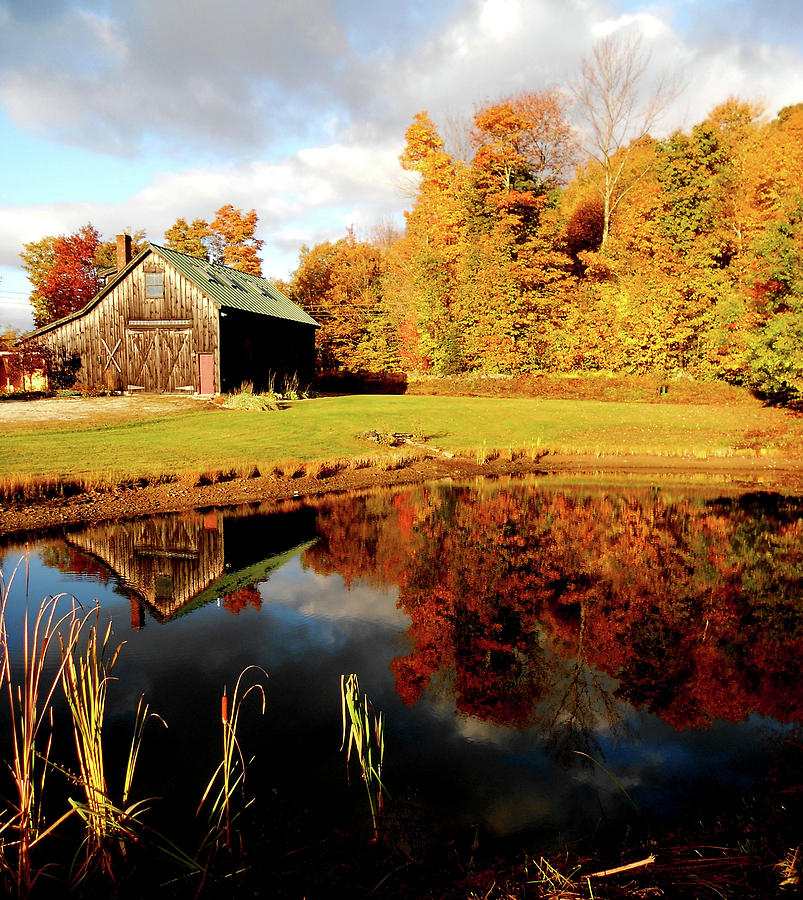 Vermont in Autumn Photograph by Linda Stern