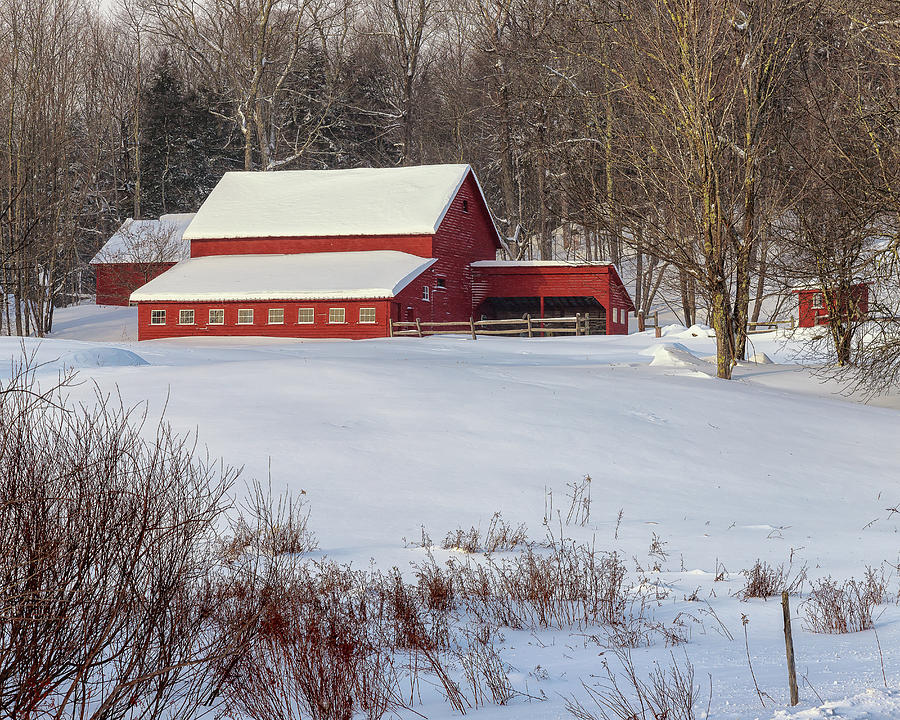Vermont Red Photograph by Rod Best