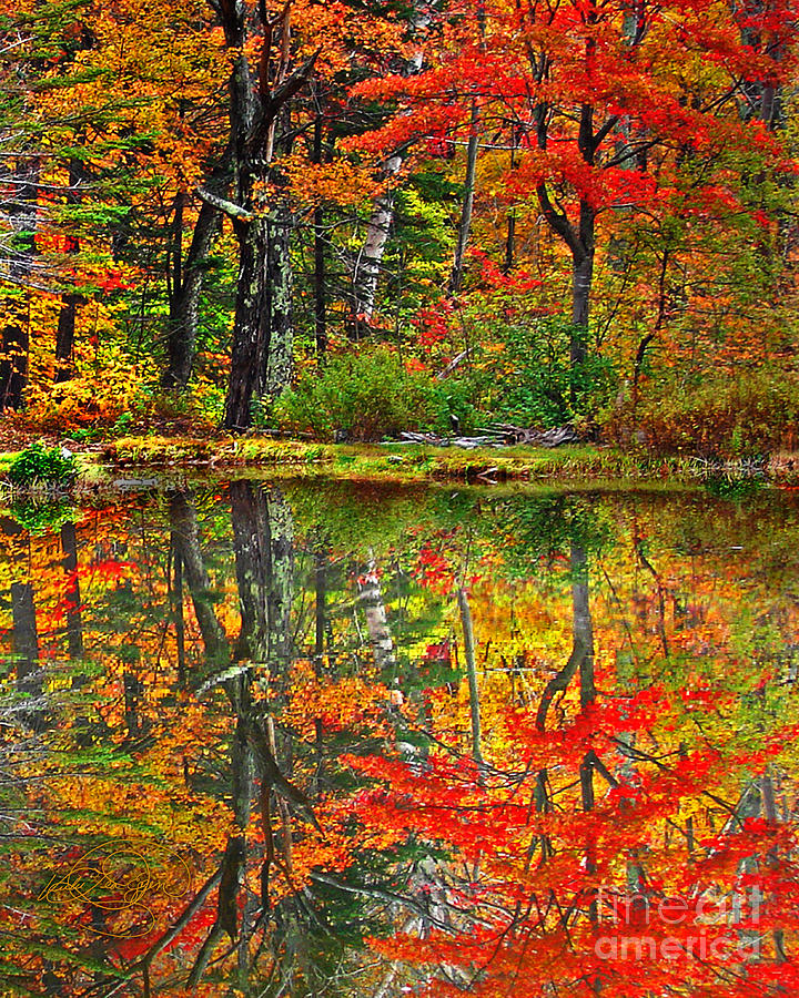 Vermont Reflection Digital Art by Vicki Lea Eggen