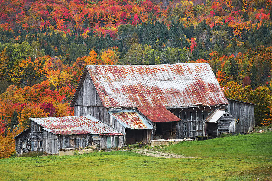 Vermont Photograph by Robert Clifford