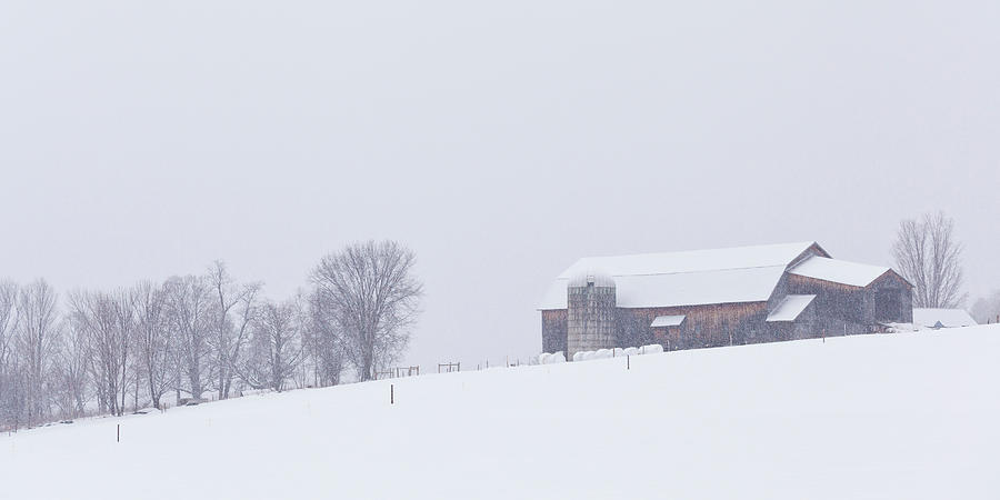 Vermont Snowstorm Panorama Photograph by Alan L Graham