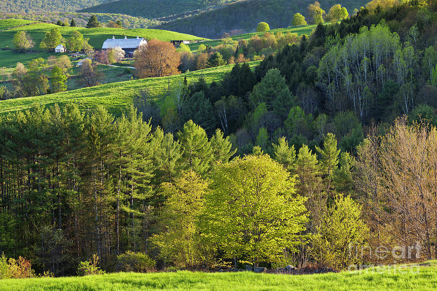 Vermont Spring Countryside Photograph