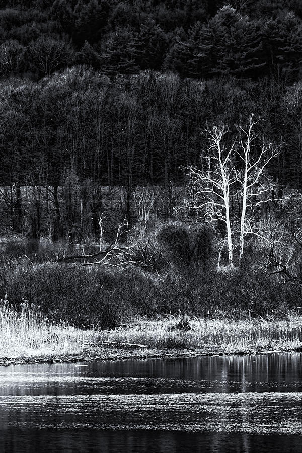 Vermont Spring In Black and White Photograph by Tom Singleton