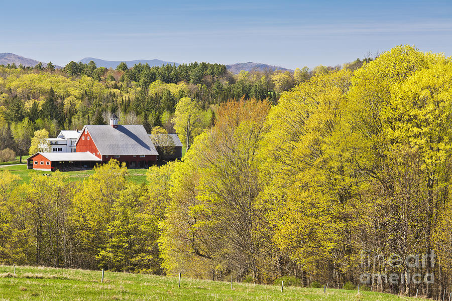 Vermont Spring Landscape Photograph by Alan L Graham