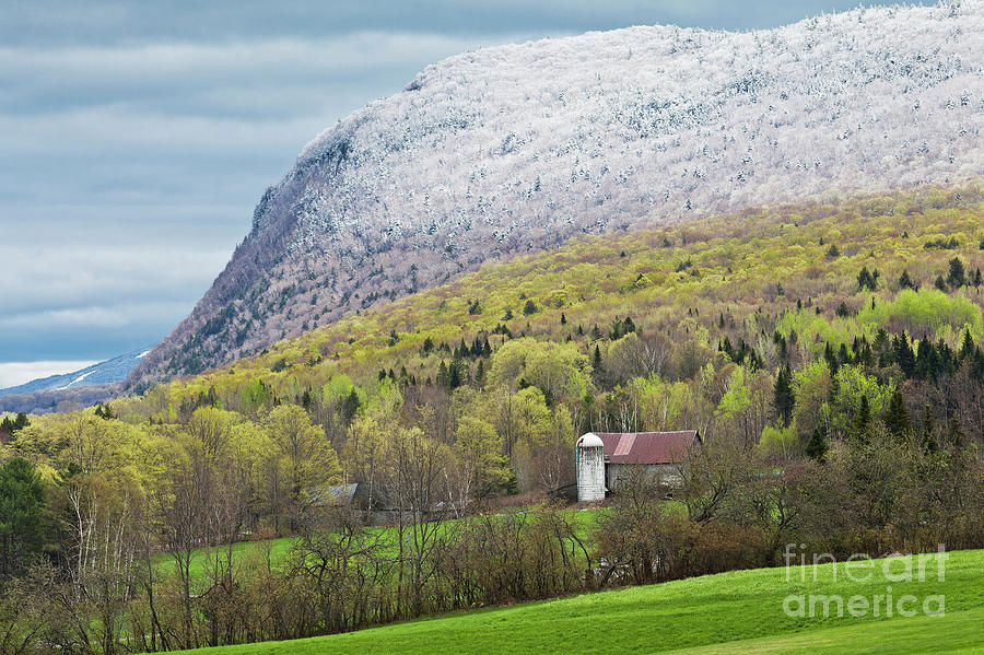 Vermont Spring Snowfall Photograph by Alan L Graham