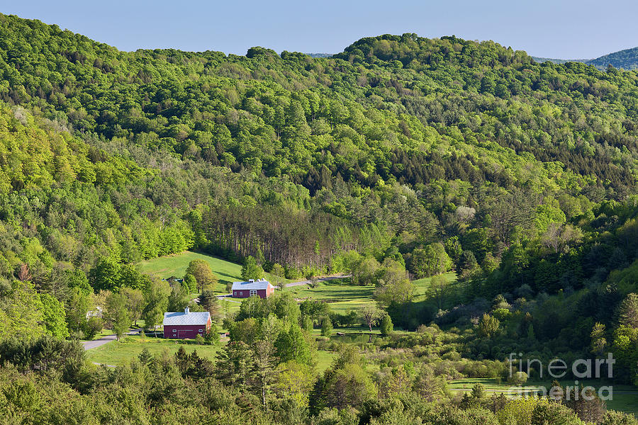 Vermont Spring Valley Photograph