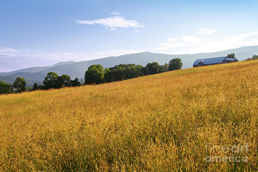 Vermont Summer Countryside Photograph by Alan L Graham