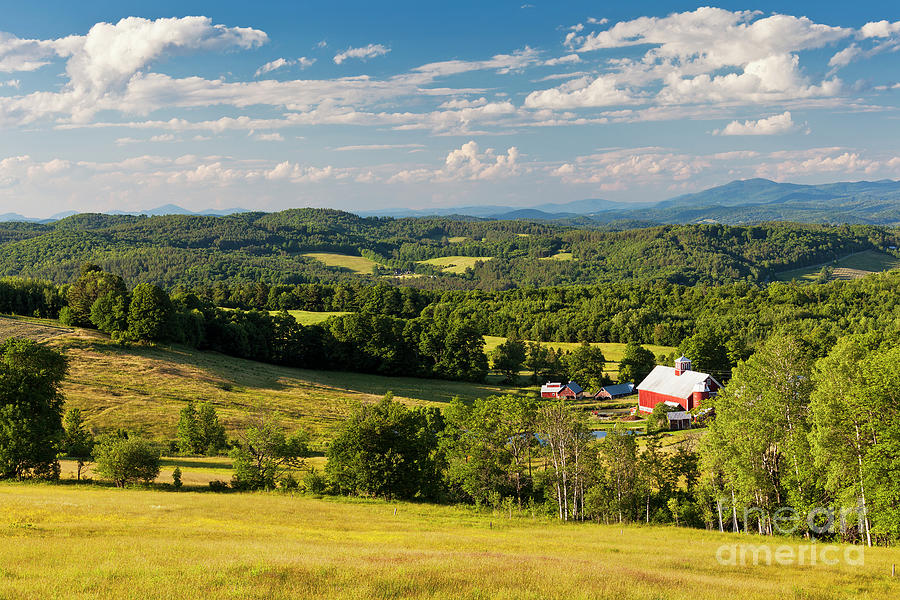Vermont Summer Vista Photograph by Alan L Graham