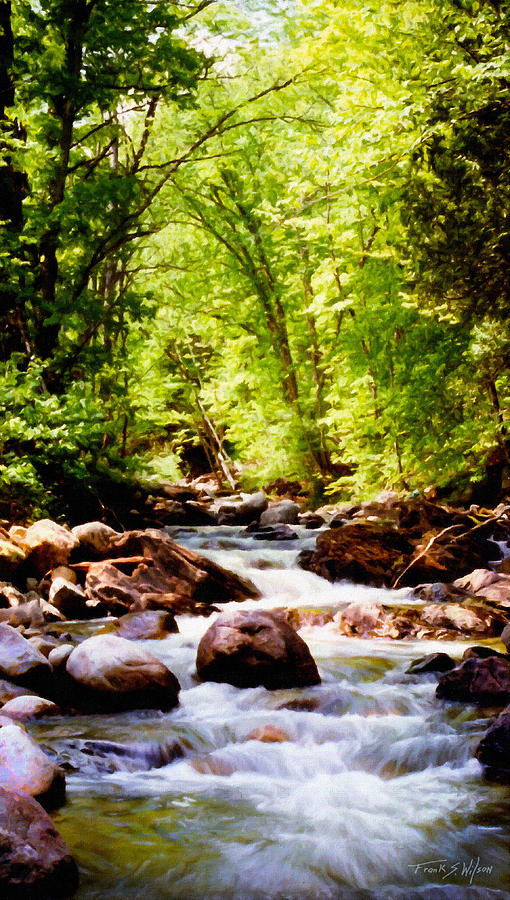 Vermont Trout Brook Photograph by Frank Wilson