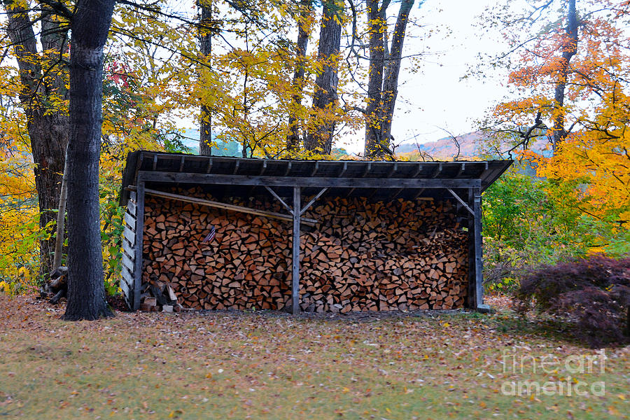 Vermont Wood Shed Photograph by Catherine Sherman