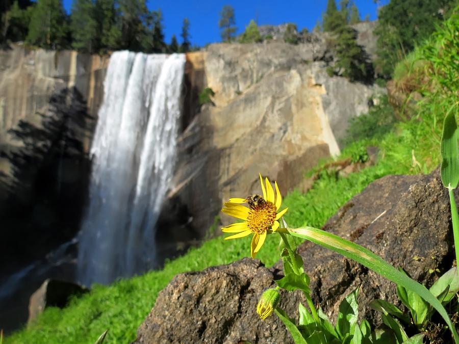 Yosemite National Park Photograph - Vernal Falls by Connor Beekman
