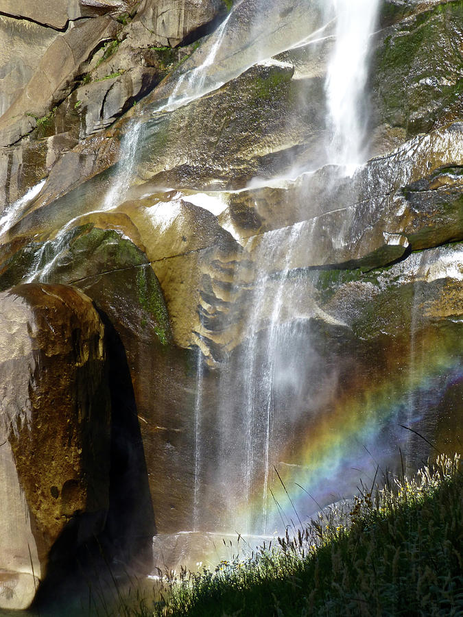 Yosemite National Park Photograph - Vernal Falls Rainbow and Plants by Amelia Racca