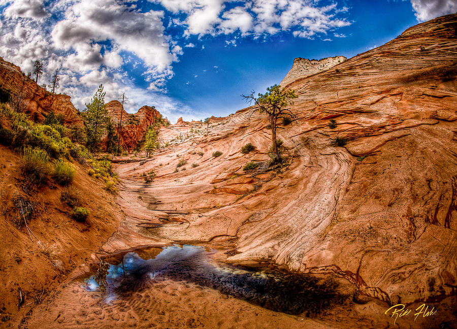 Vernal Pool at Zion  Photograph by Rikk Flohr