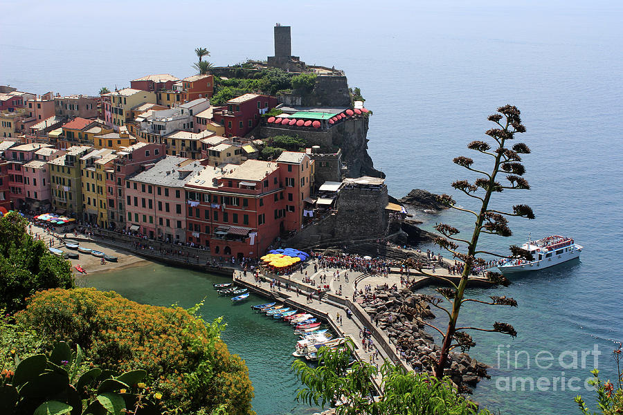 Vernazza in Cinque Terre Italy seen from bluff Photograph by Adam Long