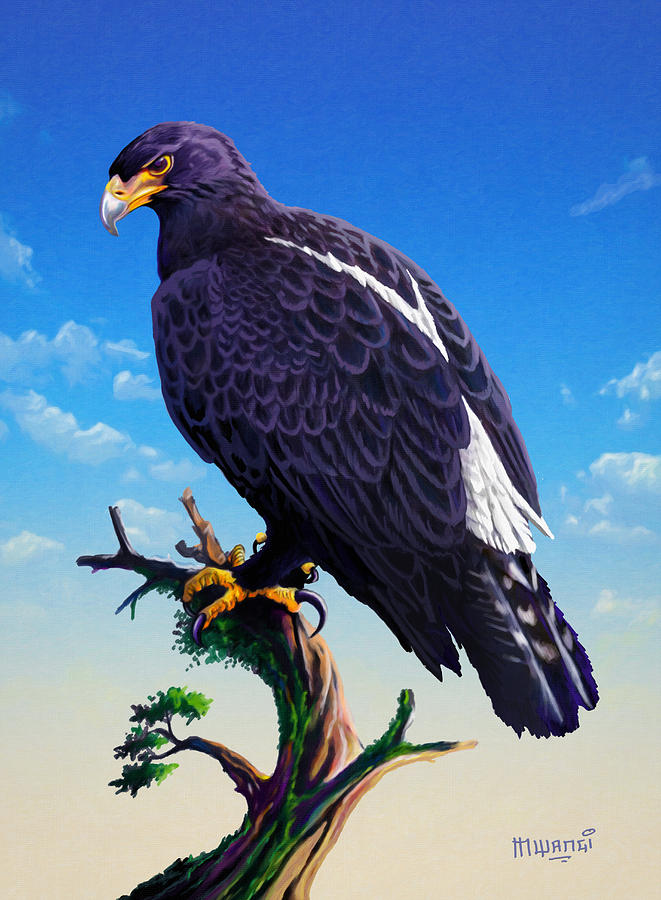 Verreauxs Eagle  Painting by Anthony Mwangi