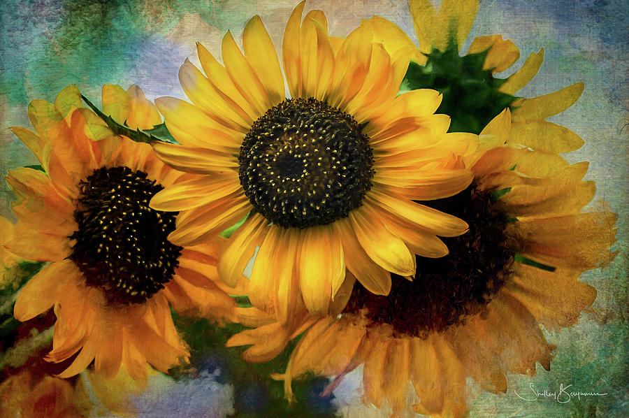 Flowers Digital Art - Vers Le Ciel by Shelley Benjamin
